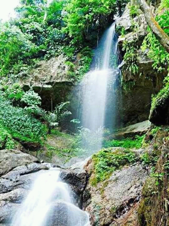 Terjun Reje Ilang Kampung Meriah Jaya